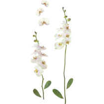 Ozdobné Nálepky Orchidea
