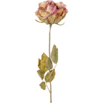 Umelá Rastlina Ruža, V: 53cm