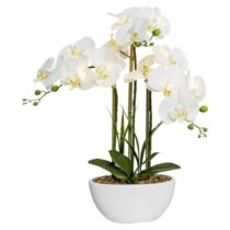 Umelá Rastlina Orchidea, 60cm, S Led Osvetl.