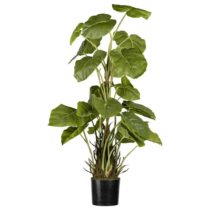 Umelá Rastlina Philodendron, Výška: 85cm
